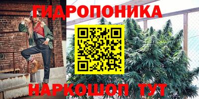 молекула духа Краснознаменск