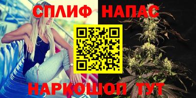 прущие крисы Краснодар