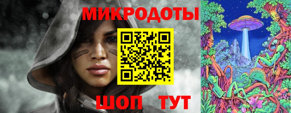 Псилоцибиновые грибы Psilocybe Костомукша