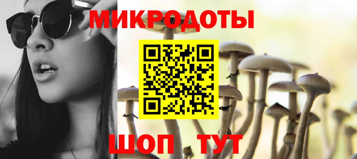 Костомукша  сколько стоит  Вход с VPN  Псилоцибиновые грибы Psilocybe 